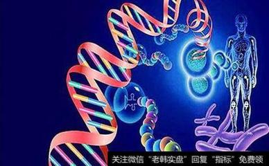 基因檢測概念股受關(guān)注，第二批示范中心方案獲發(fā)改委批復(fù)